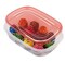 Large Rectangular Plastic Food Storage Containers, 1 Gallon, 2 Packs, Red